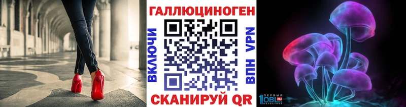 кракен зеркало  Лысьва  Галлюциногенные грибы Psilocybe 